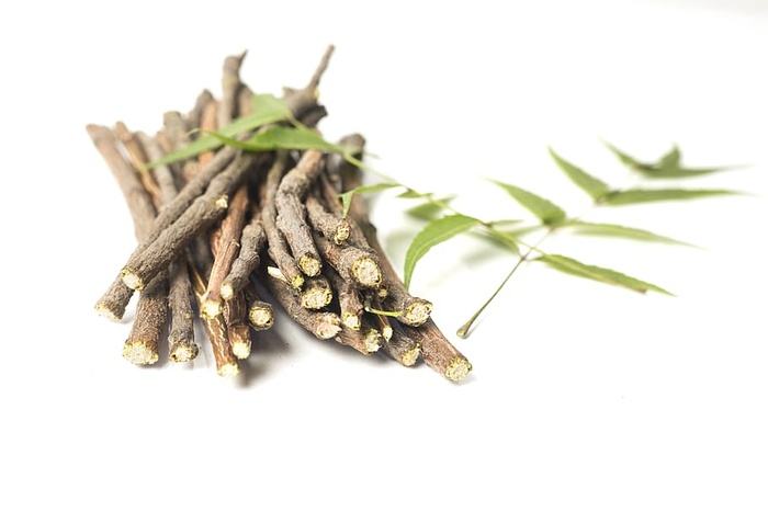 阿育吠陀，阿育吠陀草药，美容，分支，咀嚼，牙科，牙科护理，新鲜