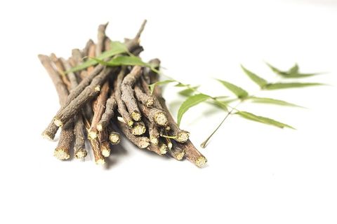 阿育吠陀，阿育吠陀草药，美容，分支，咀嚼，牙科，牙科护理，新鲜