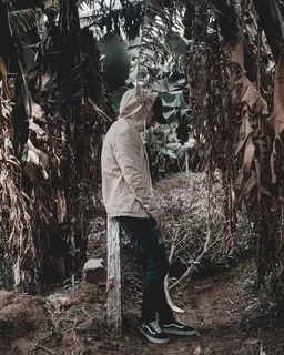 摩洛哥，tamri，导演，编辑，创意总监，创意总监，摄影师，unsplash