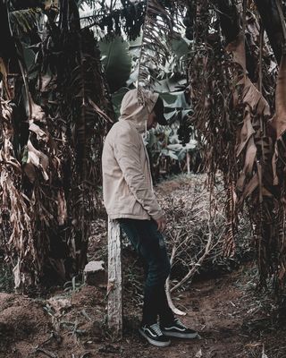 摩洛哥，tamri，导演，编辑，创意总监，创意总监，摄影师，unsplash