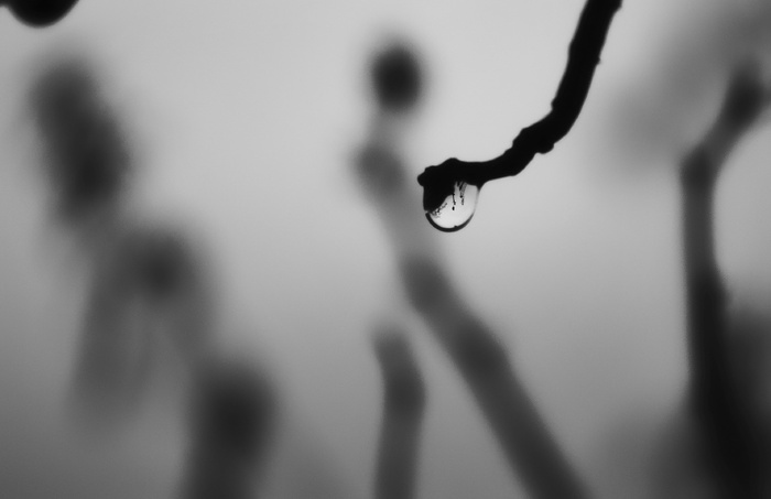 雨，倒影，水，秋天，特写，聚焦前景，没有人，自然