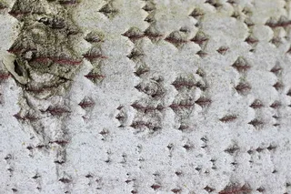 英国，阅读，绿色公园商业园，纹理，木材，树木，形状，自然