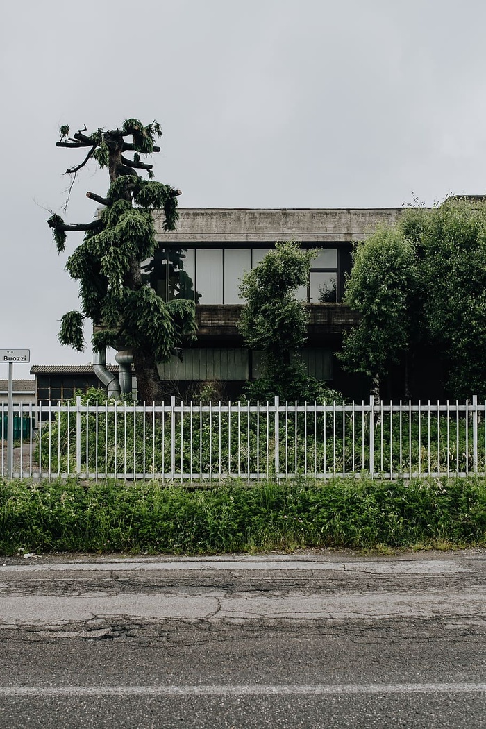市政绿化