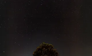 星座，夜晚，天空，星空，星星，树，星星-空间，空间