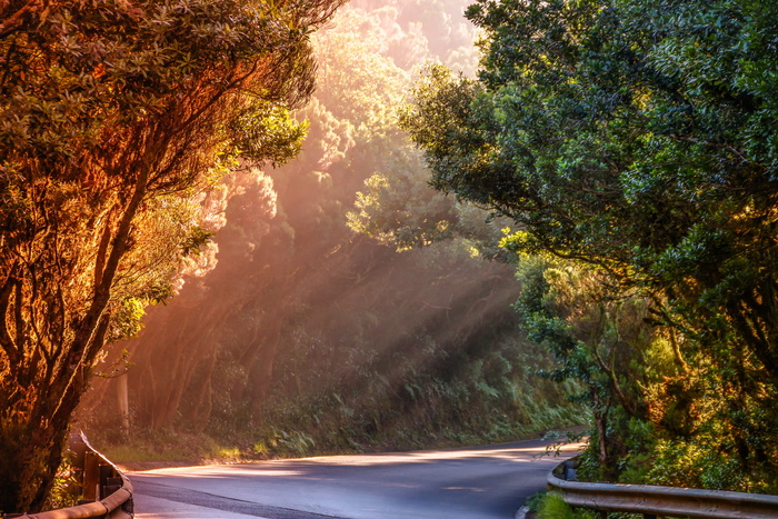 自然、景观、道路、阳光、夕阳、晚光、废弃、防撞护栏