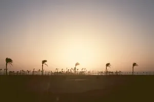天空，太阳，棕榈树，海滩，水，海洋，木板路，日落