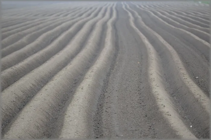 草地，自然，空白，土地，耕地，田地，沙子，图案