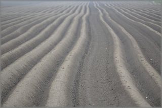 草地，自然，空白，土地，耕地，田地，沙子，图案