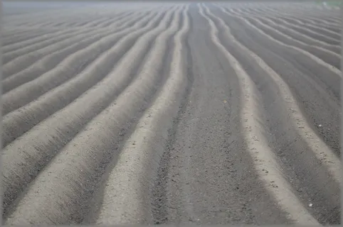 草地,自然,空白,土地,耕地,田地,沙子,图案 草地,自然,空白,土地,耕地,田地,沙子,图案