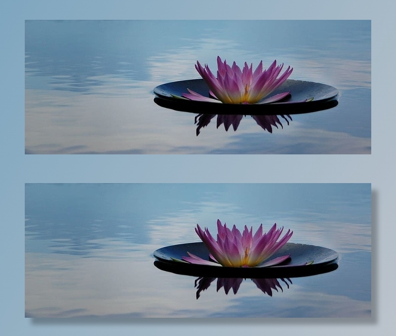 粉色，绿色，睡莲，宁静，自然，花朵，禅宗，平静