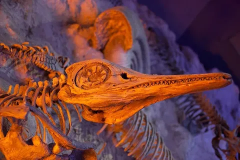 古代,动物,考古学,骨骼,死亡,恐龙,进化,灭绝 古代,动物,考古学,骨骼,死亡,恐龙,进化,灭绝
