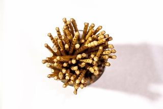 特写镜头、食物、椒盐卷饼、零食、食物和饮料、摄影棚拍摄、室内、健康饮食