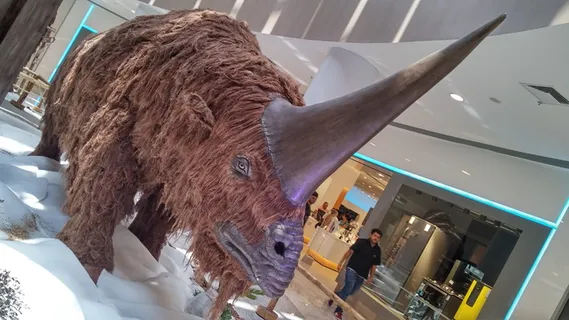 博览会，动物，博览会，兽医，多样性，动物主题，哺乳动物，野生动物