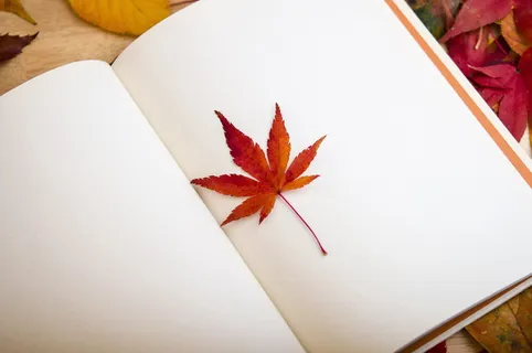 棕色,叶子,白色,素描本,枫叶,书,阅读,亲爱的日记 棕色,叶子,白色,素描本,枫叶,书,阅读,亲爱的日记
