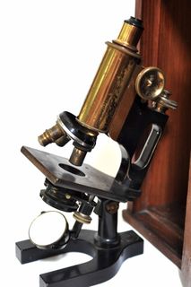 显微镜，看，文学硕士，实验室，实验室，医生，医学，科学家