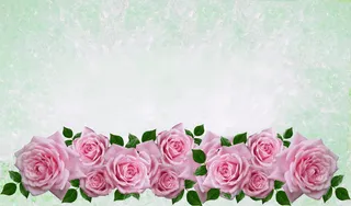 贺卡，玫瑰，花朵，花朵，花瓣，花束，开花植物，植物