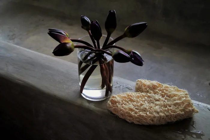 杯, 束, 浴室, 浴, 混凝土, 湿, 静物, 特写