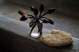 杯, 束, 浴室, 浴, 混凝土, 湿, 静物, 特写