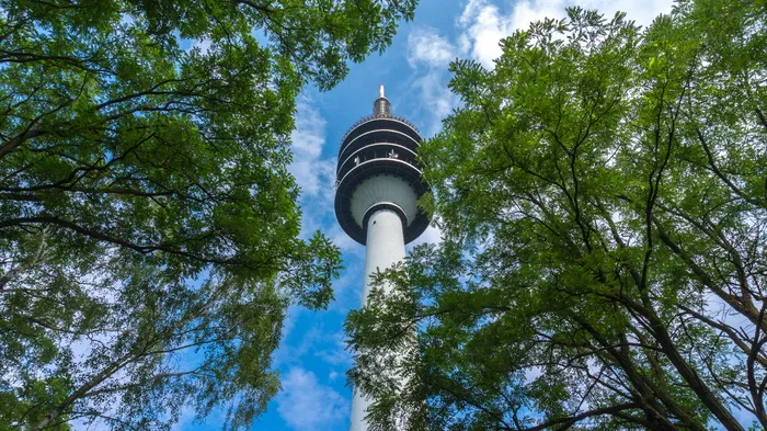 电信塔，杆塔，建筑物，钢筋混凝土，树木，低角度视图，天空，工厂