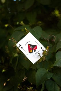 纸牌，Cardity，magic，big boy 2，big boy，美国扑克牌公司，toomas pintson，扑克牌