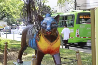 猫, cali, 公园, 哥伦比亚, 猫的, 一天, 动物, 偶然的人