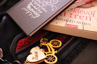 书包顶部两本书的照片