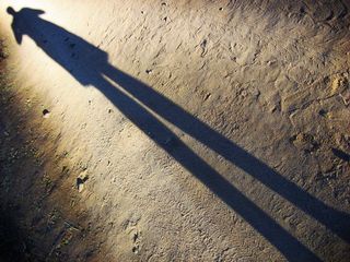 智利，iv región，pisco elqui，brillo，ligth，cafe，brown，silueta