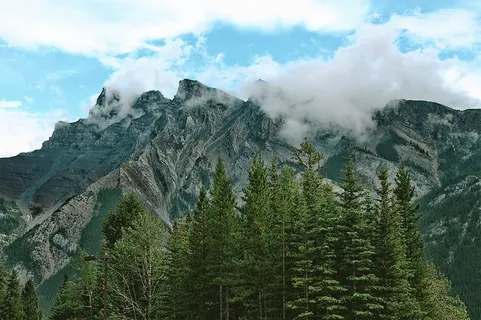 云,针叶林,日光,常绿,冷杉树,森林,高山,远足 云,针叶林,日光,常绿,冷杉树,森林,高山,远足