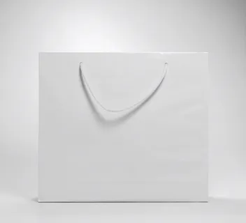 手提包，品牌，原型，纸，白色背景，白色，室内，空