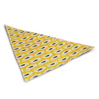 狗、手帕、宠物、美容、可爱、配饰、白色背景、摄影棚快照