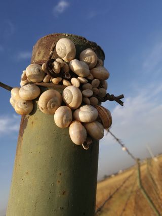 自然、社区、干旱、天空、无人、白天、艺术和工艺、特写