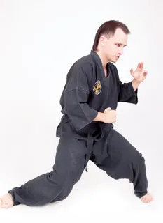 con2011，身体，传，做，运动，战斗，拳击，健身