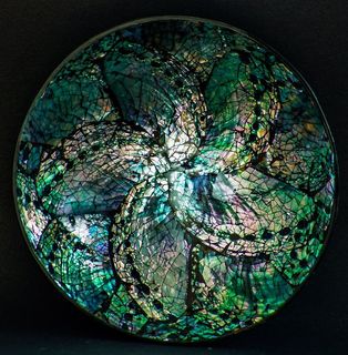 贝壳、海、碗、螺旋、装饰、斐济、天然、室内