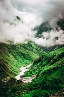 尼泊尔，朗塘，河流，景观，树木，森林，徒步旅行，自然