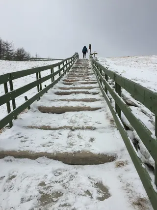 楼梯、冬天、景观、牧场、小山、攀登、方法、雪