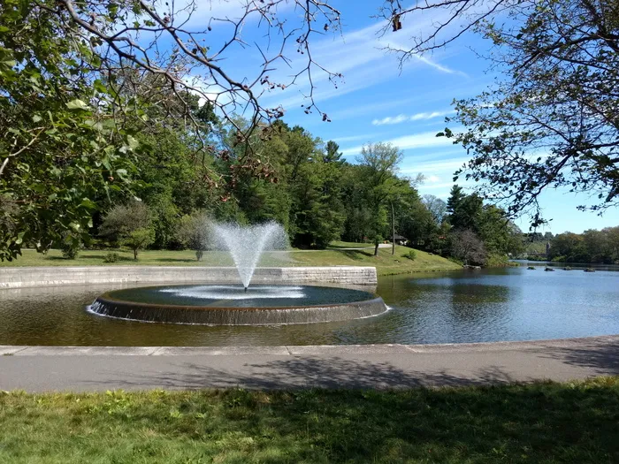 水、植物、树木、喷泉、自然、天空、喷雾、运动
