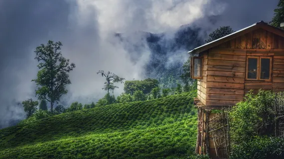 绿色草地上的棕色木屋 绿色草地上的棕色木屋