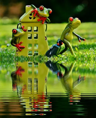 三、绿色、青蛙、身体、水、再见、家、镜像