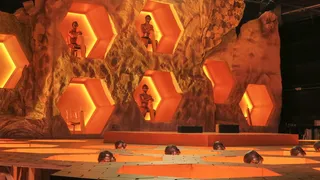 好莱坞，美国，洛杉矶，蜜蜂，墙纸，墙纸，屏保，屏保