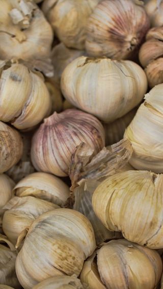 大蒜、整个、丁香、大蒜丁香、大蒜丁香、香料、芳香、健康