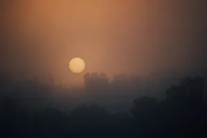 日出，早晨，黎明，天空，雾，树木，自然，森林