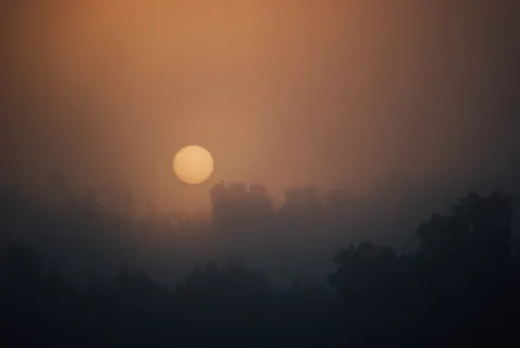 日出,早晨,黎明,天空,雾,树木,自然,森林 日出,早晨,黎明,天空,雾,树木,自然,森林