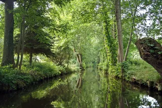 spreewald、castle、spree、river、water、green、bank、nature