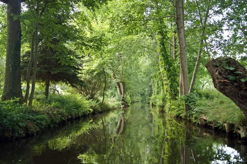 spreewald、castle、spree、river、water、green、bank、nature spreewald、castle、spree、river、water、green、bank、nature