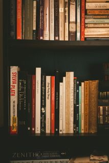 拍摄藏书区照片的人 拍摄藏书区照片的人