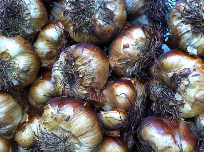 大蒜, 吃, 食品, 锋利, 块茎, 气味, 厨师, 食物和饮料