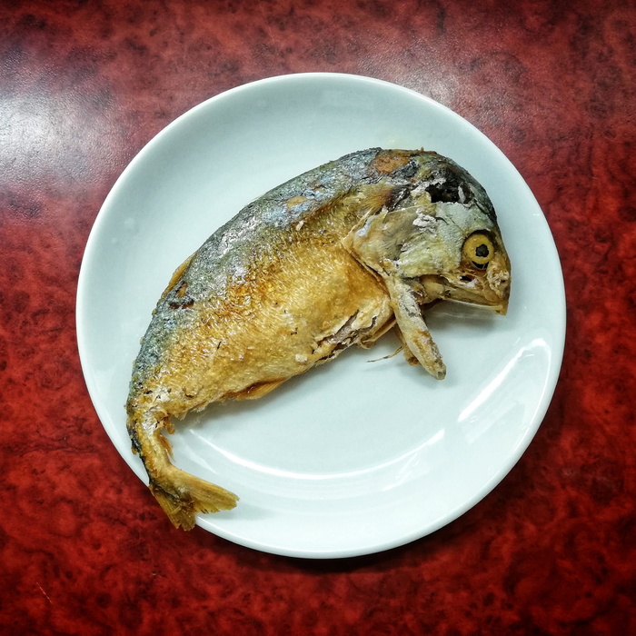 泰国街头食品，油炸金枪鱼，油炸鲭鱼，动物，盘子，室内，脊椎动物，特写