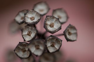 <!DOCTYPE html>
<html>
    <head>
        <title>文件“C:log.txt”正由另一进程使用，因此该进程无法访问此文件。</title>
        <meta name="viewport" content="width=device-width" />
        <style>
         body {font-fam