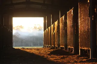 马、马厩、阳光、农场、动物、谷仓、阳光、建筑