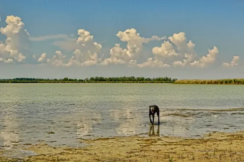自然，风景，奇观，全景，天空，云彩，风景，湖泊